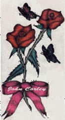 butterflyandrose